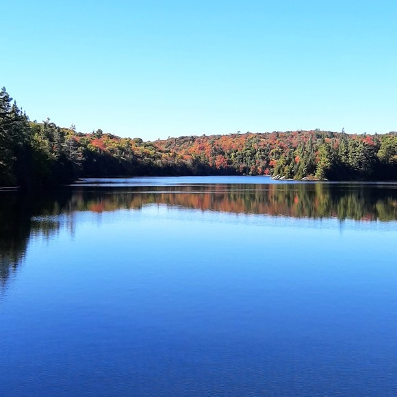 Meet your Posher, Sandra - Picture 1 of 1